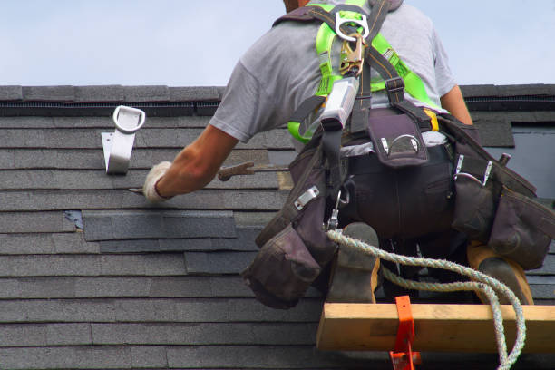 Best Roof Gutter Cleaning  in St Bonifacius, MN