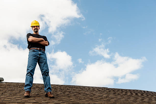 Best Roof Gutter Cleaning  in St Bonifacius, MN
