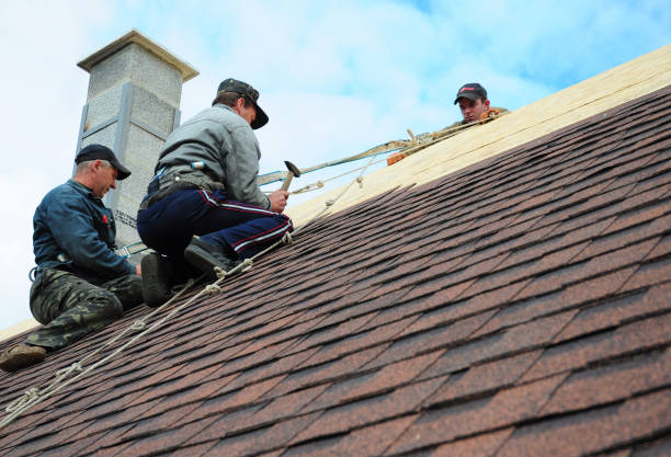 Best Flat Roof Repair Services  in St Bonifacius, MN