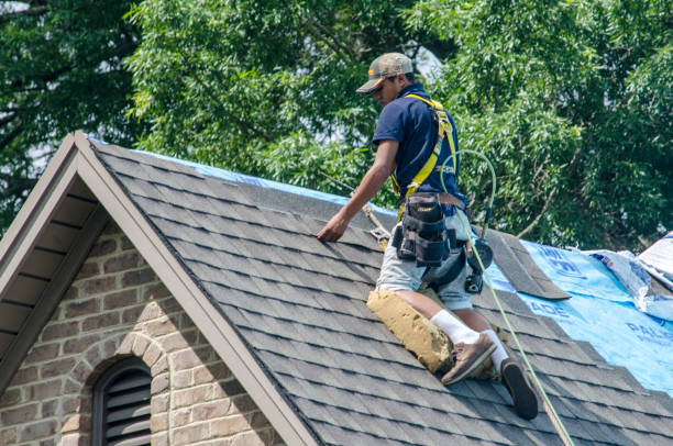 Quick and Trustworthy Emergency Roof Repair Services in St Bonifacius, MN